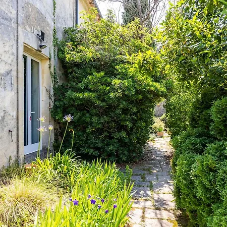 D'hotes Chateau Cajus 3* Saint-Germain-du-Puch