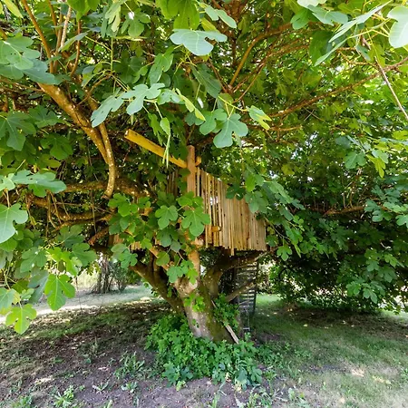 D'hotes Chateau Cajus 3* Saint-Germain-du-Puch